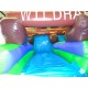 Wild Rapids Water Slide