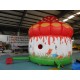 Inflatable Mushroom Castle