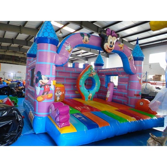 Inflatable Disney Castle